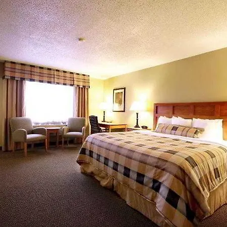 Aspire Frankfurt Airport, Trademark Collection By Wyndham Hotel