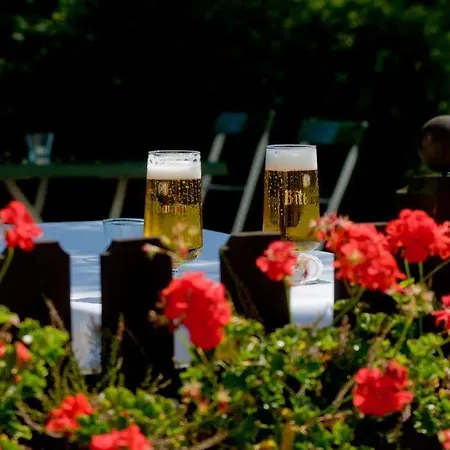 Aspire Frankfurt Airport, Trademark Collection By Wyndham Hotel Rüsselsheim